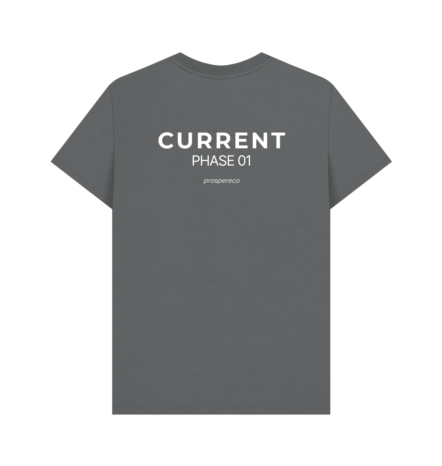 Slate Grey Printed T-shirt Back