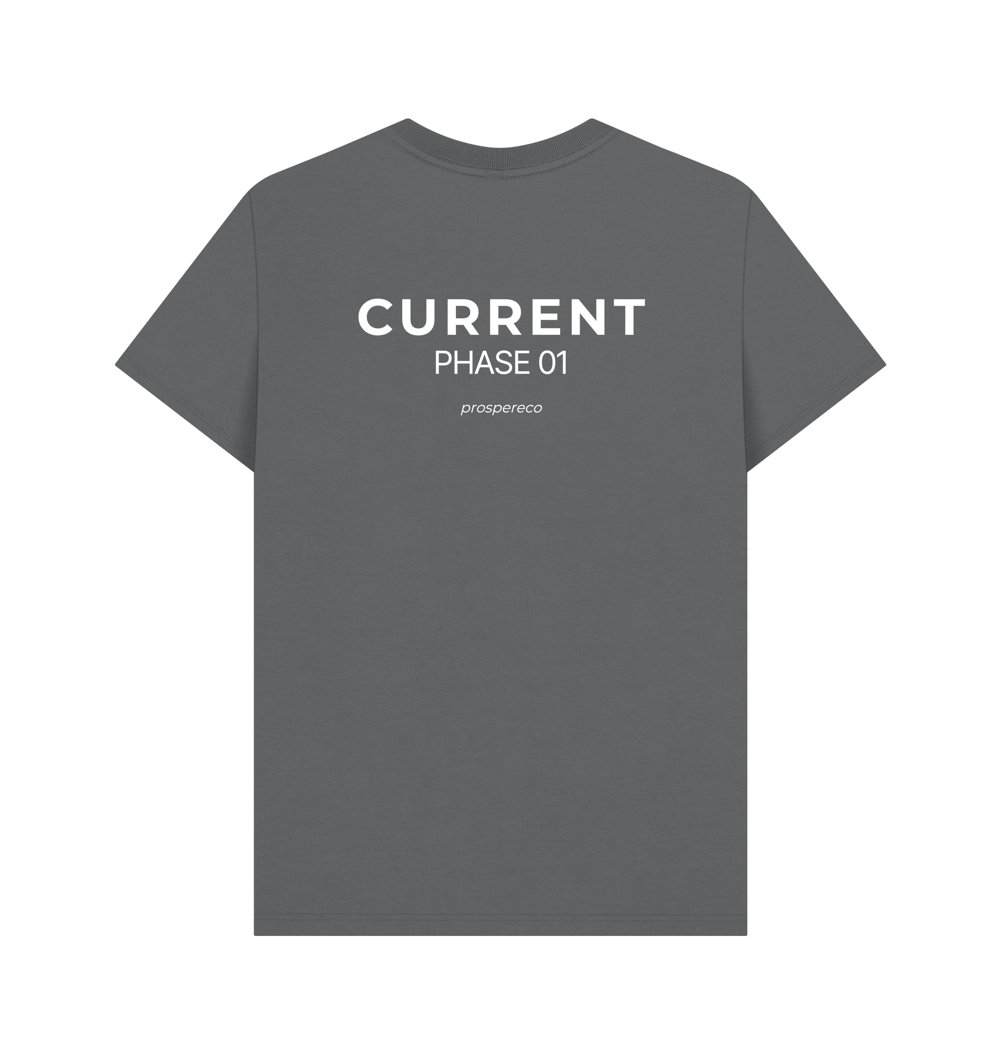 Slate Grey Printed T-shirt Back