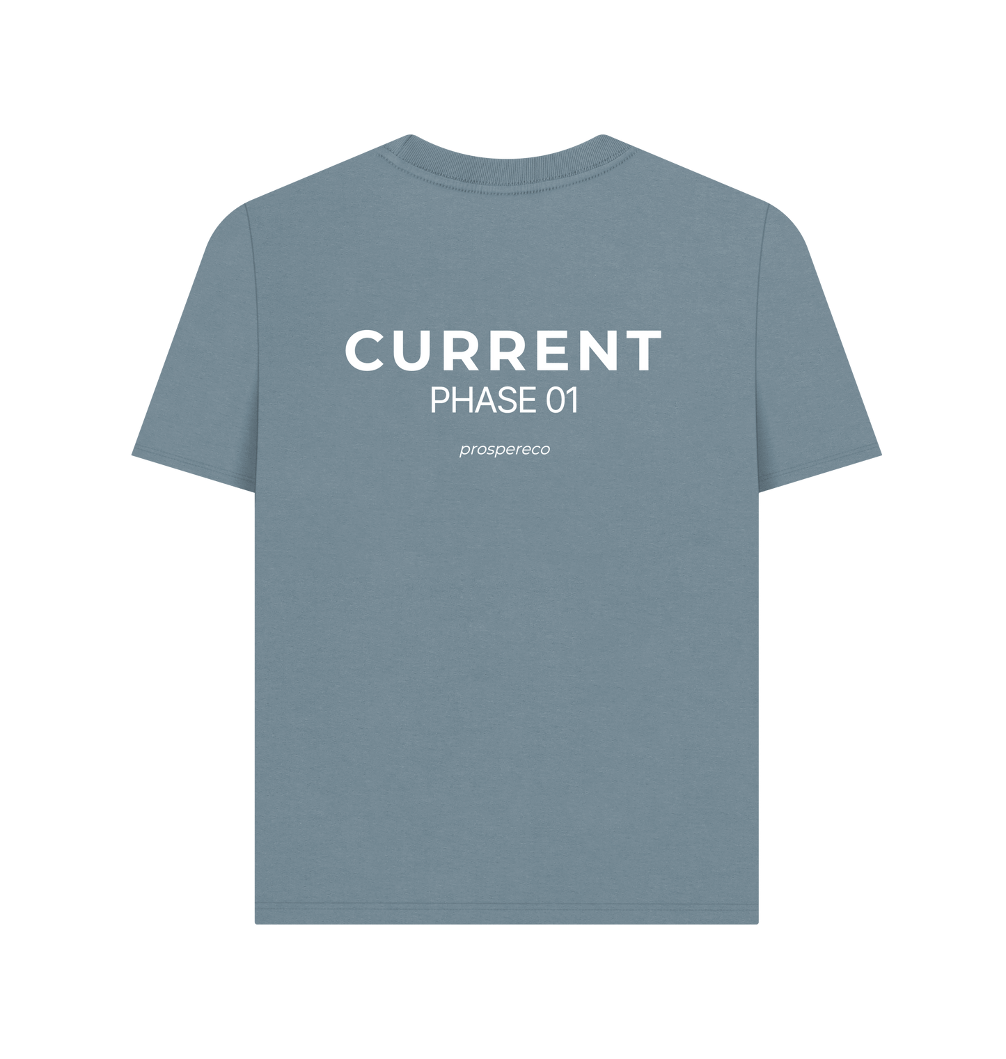 Stone Blue Printed T-shirt Back