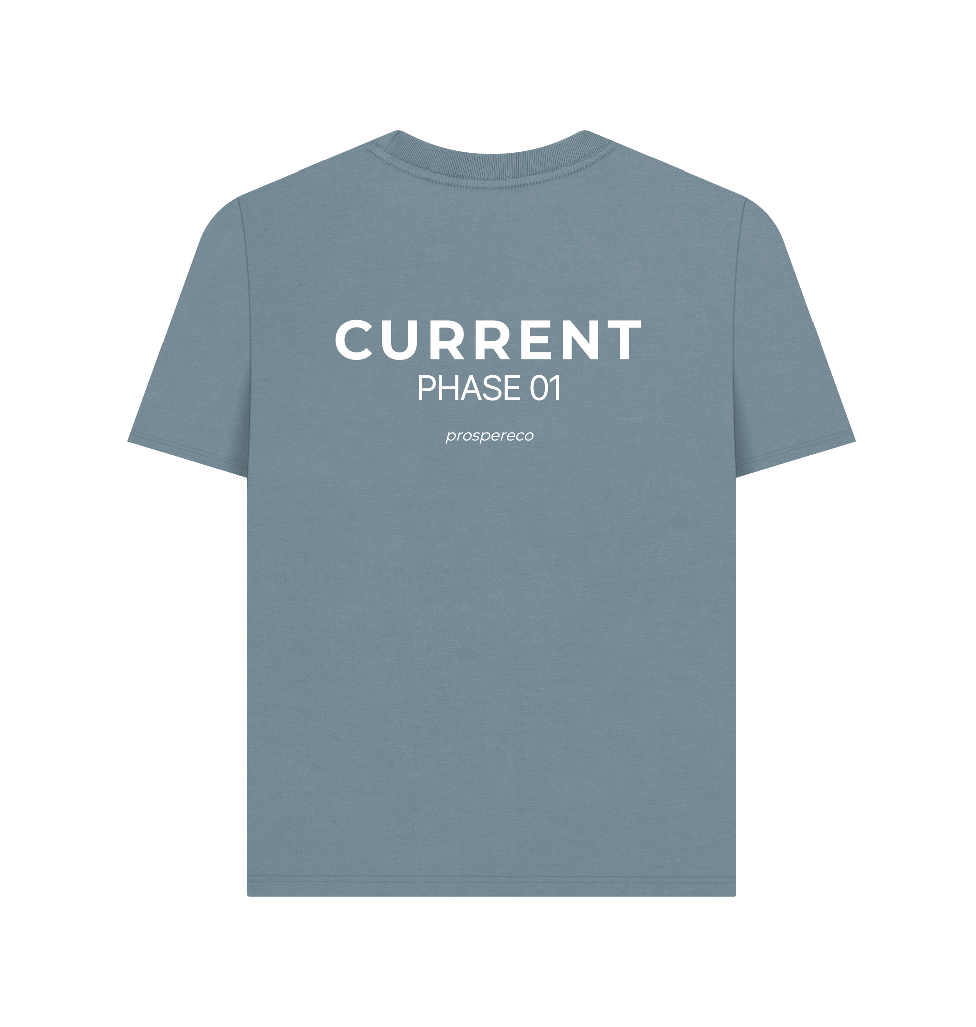 Stone Blue Printed T-shirt Back